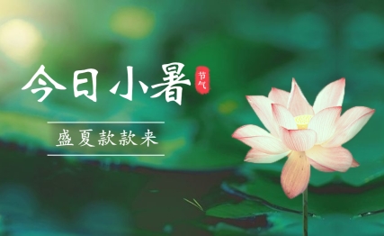 今日小暑