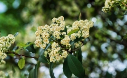 官场沉浮，荣辱不计，耿直名臣《岳阳楼记》述衷肠