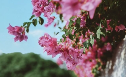 大暑至，湿热缠：古人养生智慧里的三伏生存指南