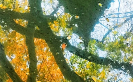 房谋杜断，何尝不是互补信任、共同成就的职场精神的体现