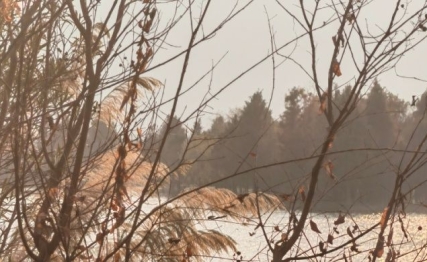 重阳食话：舌尖上的登高节，藏着千年养生智慧