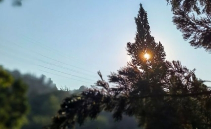 萃卦之道，在于凝聚人心需要用诚用正