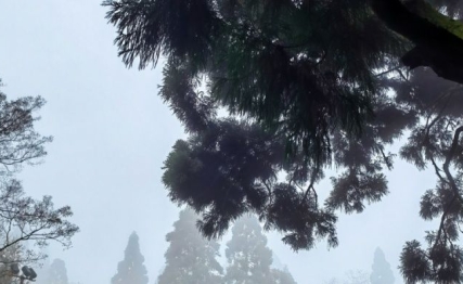 小雪迎冬藏，养生正当时：顺应节气的冬日滋养之道