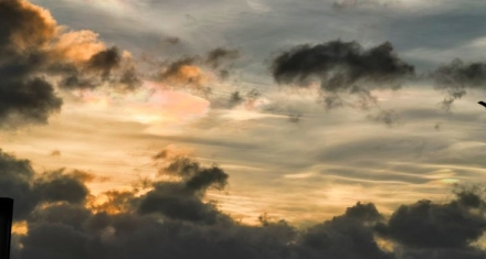 困卦：身处困境中，最强大的助力还是拥有强大的内心