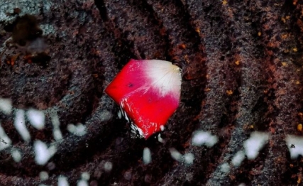 井卦|以不同的场景探讨何为可用之才