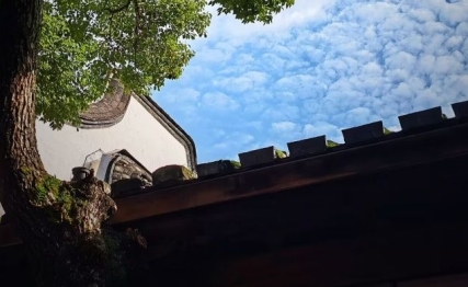 郑伯克段于鄢：两千多年前的权谋悲剧，如何引发我们的共鸣