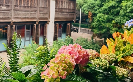 安金藏舍身救皇嗣，小人物的侠骨忠义竟改写了历史