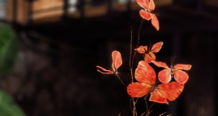 归妹：在非常环境中追求名实相符，局限中创造可能