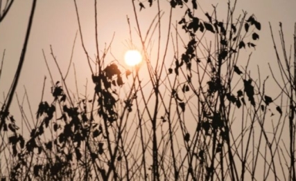 师与比统一对立的智慧，纷争中拨乱反正，和平中凝聚人心