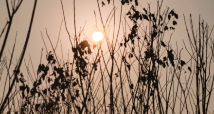 师与比统一对立的智慧，纷争中拨乱反正，和平中凝聚人心