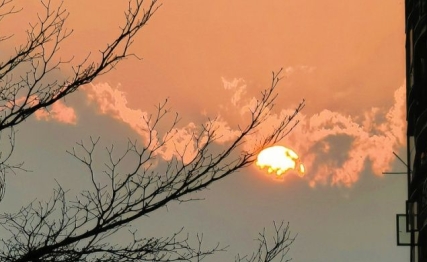 成长的关键，在于耐得住蓄的寂寞，经得起行的考验