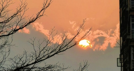 成长的关键，在于耐得住蓄的寂寞，经得起行的考验