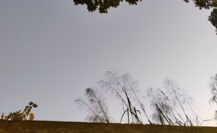 综卦否与泰，盛中见衰防范未然，乱中争先抓住风口的智慧