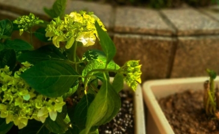 雨水：春的信使，润物无声