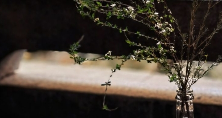 兑卦|心悦是相互的需诚信互惠，更需谨防小人阿谀取悦