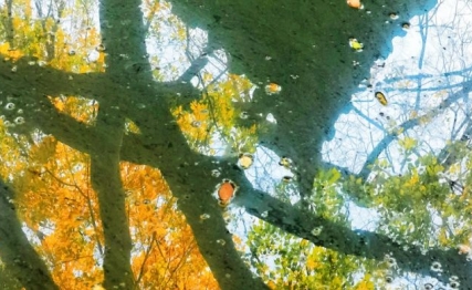 涣卦|一场打破僵局的危机