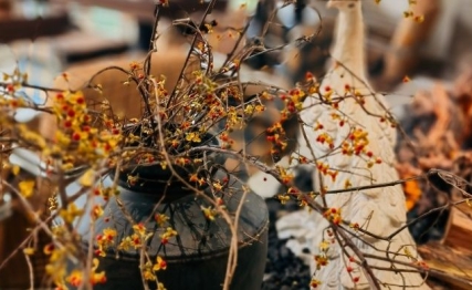 综卦随与蛊，洞悉人生中与时俱进的智慧