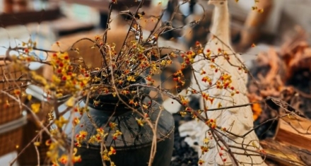 综卦随与蛊，洞悉人生中与时俱进的智慧