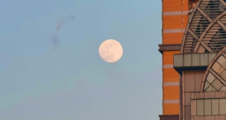 中孚|诚于中而信于外的才是真正的诚信