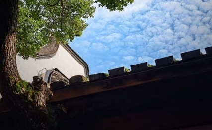 颐卦六三：贾雨村从官场的逆袭，走向人性的堕落