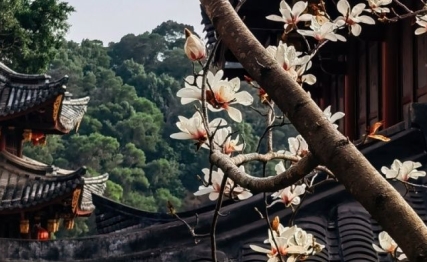 人生最大的幸事是，是深知居安思危的智慧|既济