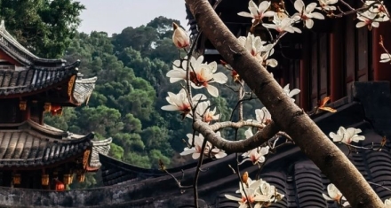 人生最大的幸事是，是深知居安思危的智慧|既济