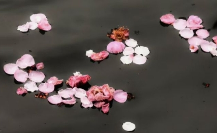 坎境中砥砺前行，实现自我心性的升华|坎离综卦