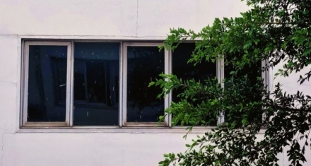 前辈窃取我的工作成果，职场新人的我却这样做？