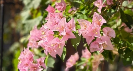 暮春之初的雅集：上巳节的文化记忆