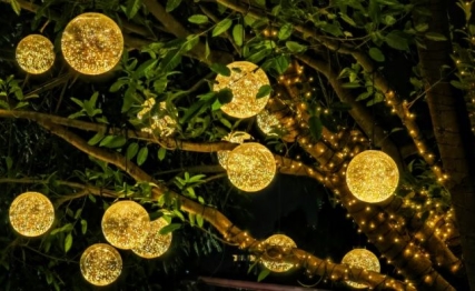 龙星在天：上古中国的天文纪年密码