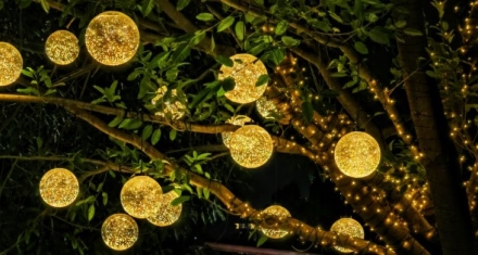 龙星在天：上古中国的天文纪年密码