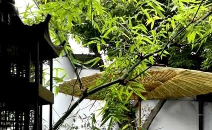 萃升之道：聚以正，升以时，才能行稳致远
